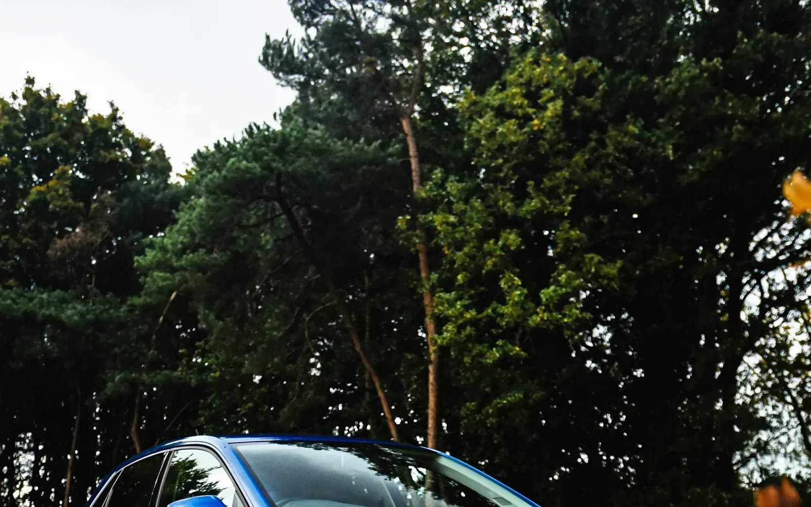 Volkswagen Polo Highline
