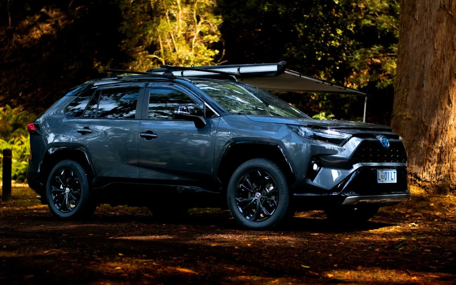 Toyota RAV4 Hybrid